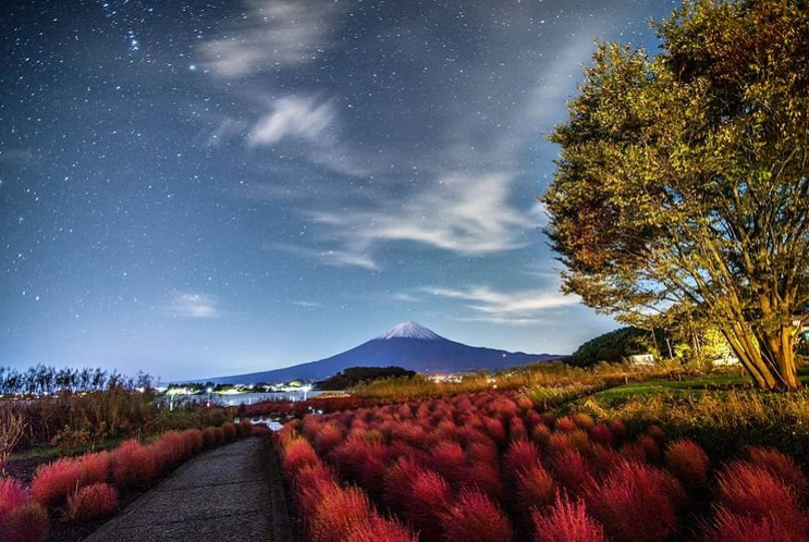 大石公園　コキア　富士山　星　撮影　スポット